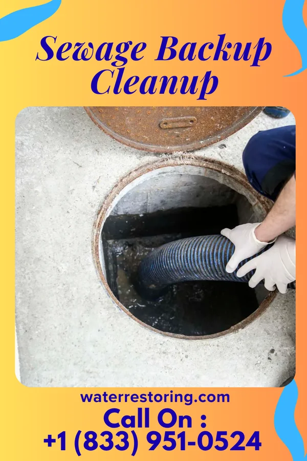 Sewage Backup Cleanup in White Plains, NY