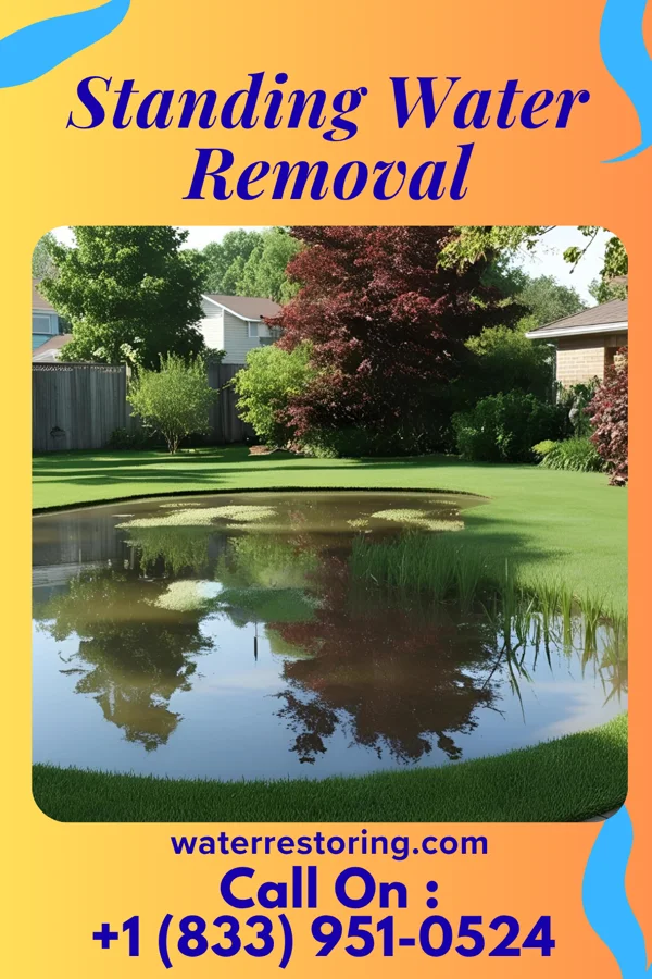 Standing Water Removal in White Plains, NY